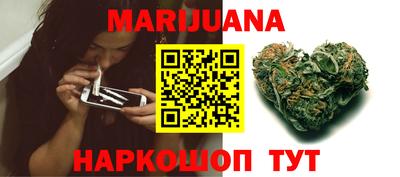 крисы Будённовск